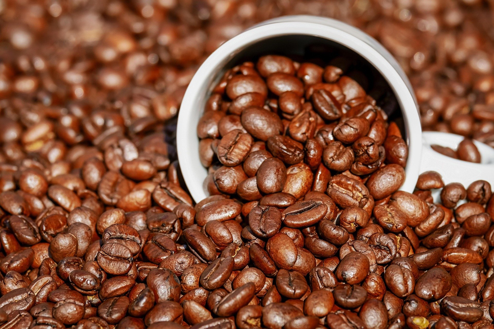 industria-do-cafe-preve-alta-de-ate-15%-nos-precos-nos-proximos-dias