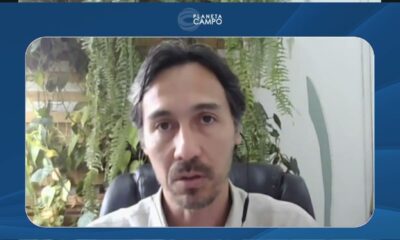 produtores-podem-transformar-neutralizacao-de-carbono-em-receita-de-ate-r$-600-mil