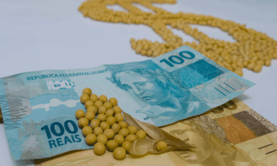 alta-do-petroleo-da-impulso-a-soja-e-agita-o-mercado-brasileiro