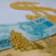 alta-do-petroleo-da-impulso-a-soja-e-agita-o-mercado-brasileiro