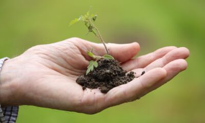 entidades-defendem-protagonismo-do-agro-na-mitigacao-climatica-e-pedem-revisao-do-plano-clima