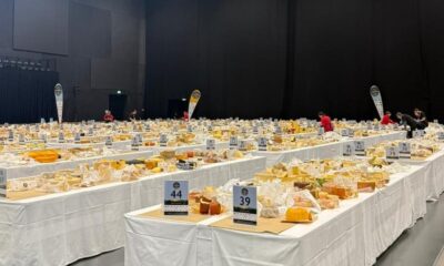 brasil-conquista-50-medalhas-em-concurso-mundial-de-queijos