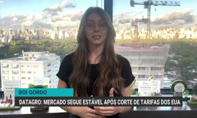 com-oferta-em-ajuste,-arroba-do-boi-se-mantem-firme-e-exportacoes-aceleram