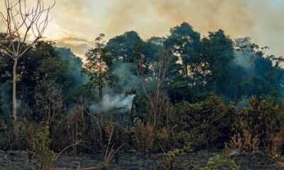 brasil-pode-ter-aumento-de-ate-4,5-°c-em-relacao-a-temperatura-pre-industrial,-diz-pesquisador